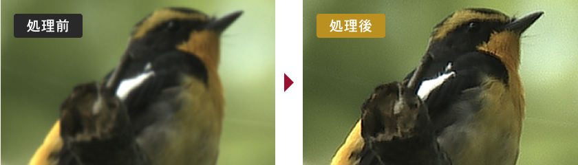 劣化復元 LS-Restoration