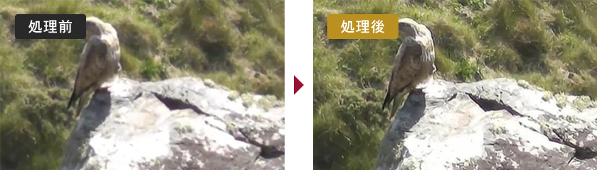 陽炎除去 DeHeatHaze