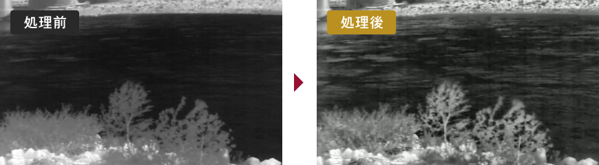 鮮明化映像例 降雪時